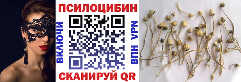гидра ссылка  наркошоп  Ивангород  Галлюциногенные грибы ЛСД 